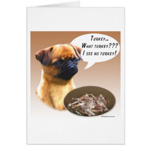 Brussel Griffon Turkije