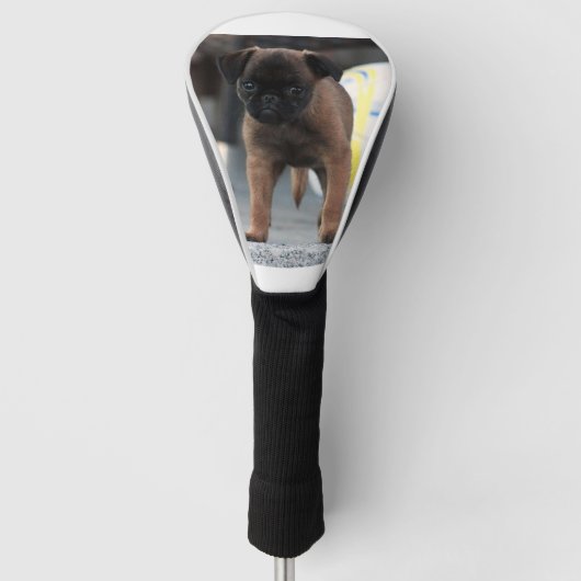 brussel griffon vooraan uitzicht golfheadcover (Voorkant)