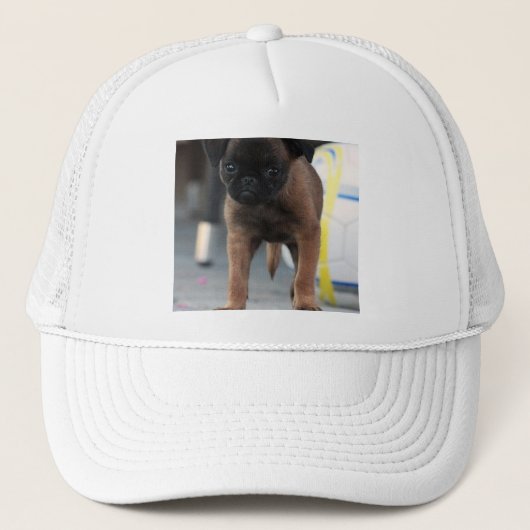 brussel griffon vooraan uitzicht trucker pet (Voorkant)