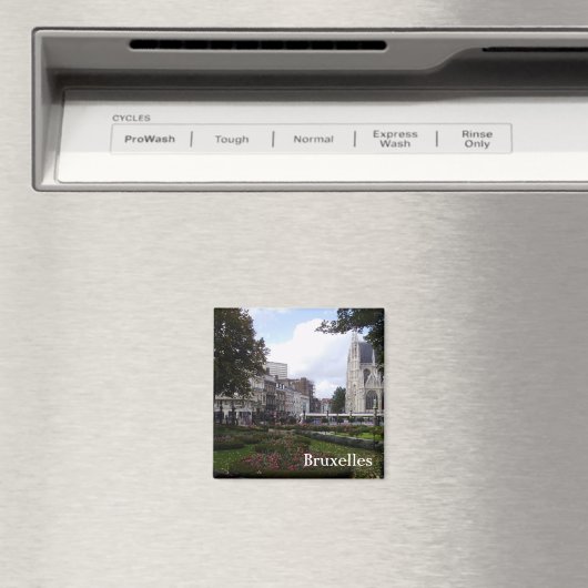 Brussel Magneet (Insitu (Vaatwasser))