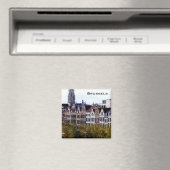 Brussel Magneet (Insitu (Vaatwasser))