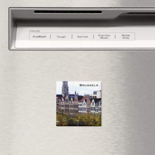 Brussel Magneet (Insitu (Vaatwasser))
