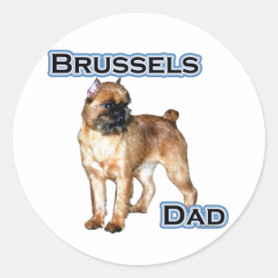 Brussel Pap 4 - Sticker