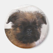 Brussell Griffon Magnet (Voorkant)