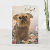 Brussell Griffon Mist U Kaarten (Voorkant)