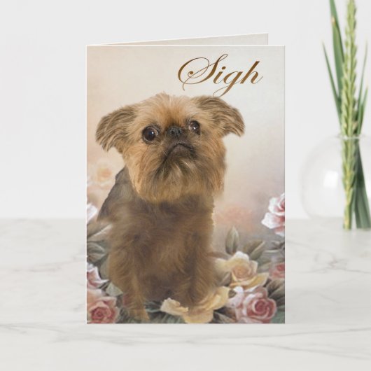 Brussell Griffon Mist U Kaarten (Voorkant)