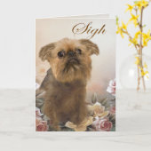 Brussell Griffon Mist U Kaarten (Gele Bloem)