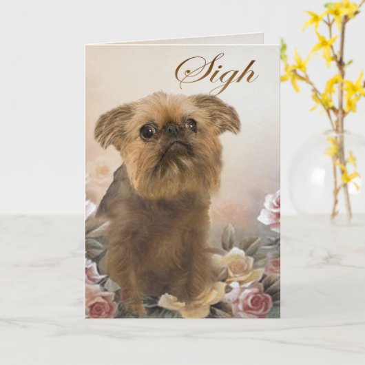 Brussell Griffon Mist U Kaarten (Gele Bloem)