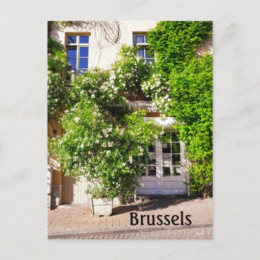 Brussels België straatfoto Briefkaart (Voorkant)
