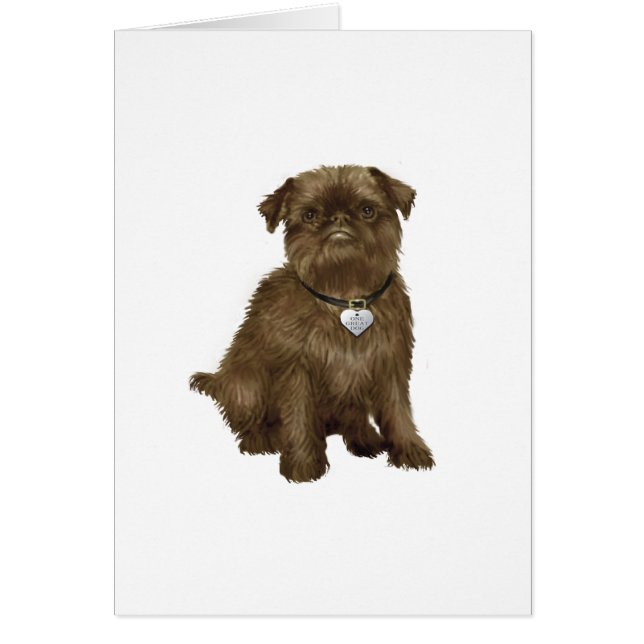 Brussels Griffon #2 (bruin) (Voorkant)