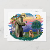 Brussels Griffon (bruin/rood) Briefkaart (Voorkant / Achterkant)