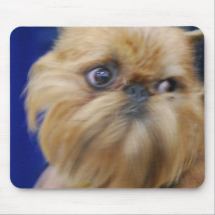 Brussels Griffon Dog Muismat