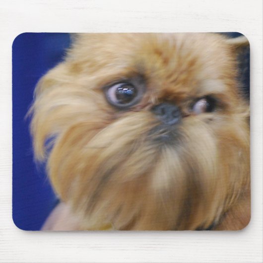 Brussels Griffon Dog Muismat (Voorkant)
