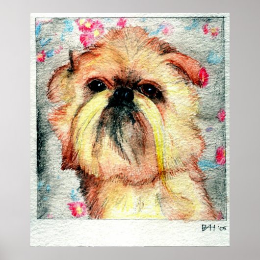 Brussels Griffon Dog Portret Poster (Voorkant)