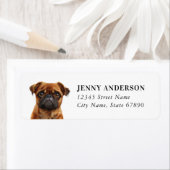 Brussels Griffon Dog Retour Adreslabels Etiket (Insitu)