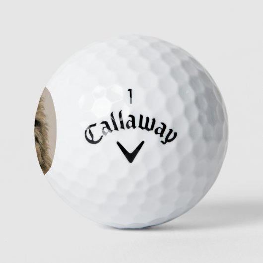 Brussels Griffon Golfballen (Logo)