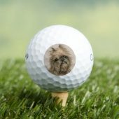 Brussels Griffon Golfballen (Insitu Shirt)