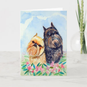 Brussels Griffon Greeting Cards Kaart