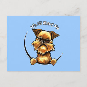 Brussels Griffon heeft alles over mij Briefkaart