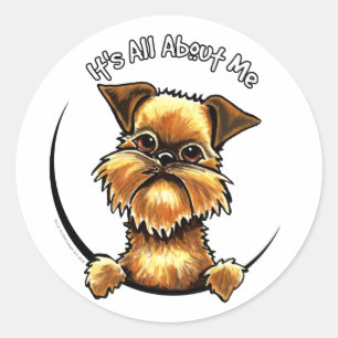Brussels Griffon heeft alles over mij Ronde Sticker