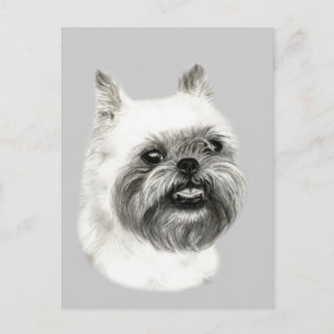 Brussels Griffon Hondentekening Briefkaart