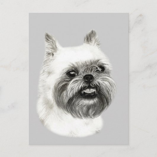 Brussels Griffon Hondentekening Briefkaart (Voorkant)