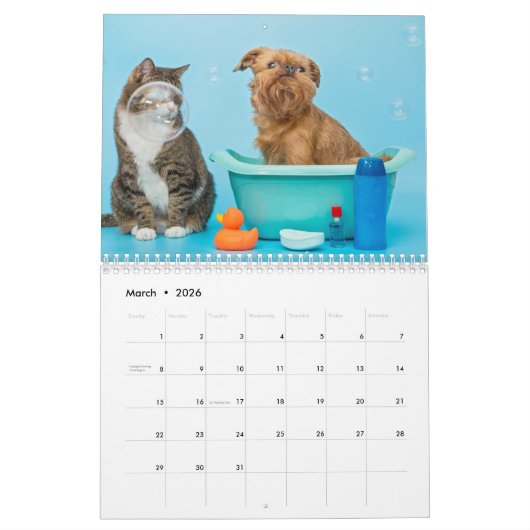 Brussels Griffon kalender 2026 (Mar 2026)