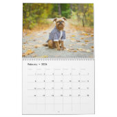 Brussels Griffon kalender 2026 (Feb 2026)