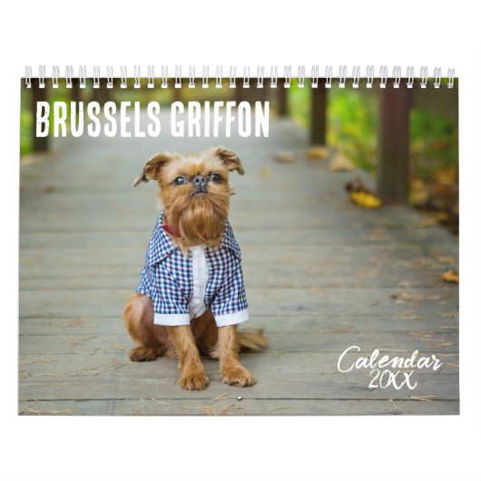 Brussels Griffon kalender 2026 (Hoes)
