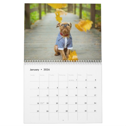Brussels Griffon kalender 2026 (Jan 2026)