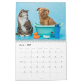 Brussels Griffon kalender 2026 (Mar 2027)