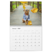 Brussels Griffon kalender 2026 (Jan 2027)