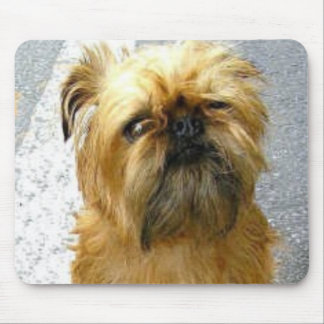 Brussels Griffon Mousepad Muismat