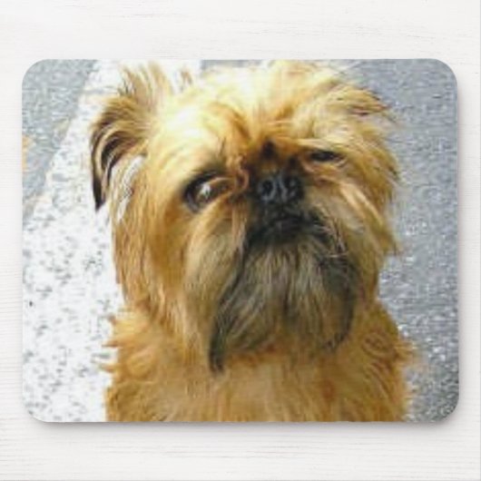 Brussels Griffon Mousepad Muismat (Voorkant)