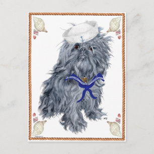 Brussels Griffon Sailor Briefkaart