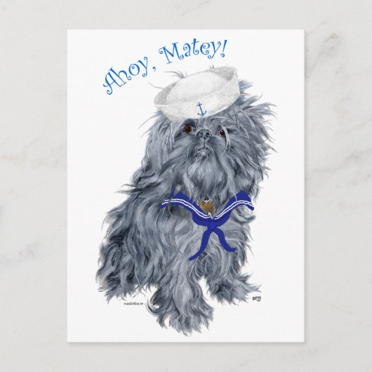 Brussels Griffon Sailor Briefkaart (Voorkant)