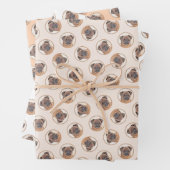 Brussels Griffon Schilderij Rood Vloeiend Schattig Inpakpapier Vel (In situ)