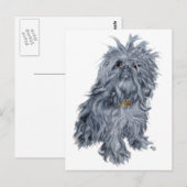 Brusselse Griffon Briefkaart (Voorkant / Achterkant)