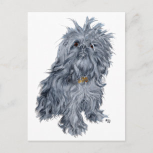 Brusselse Griffon Briefkaart