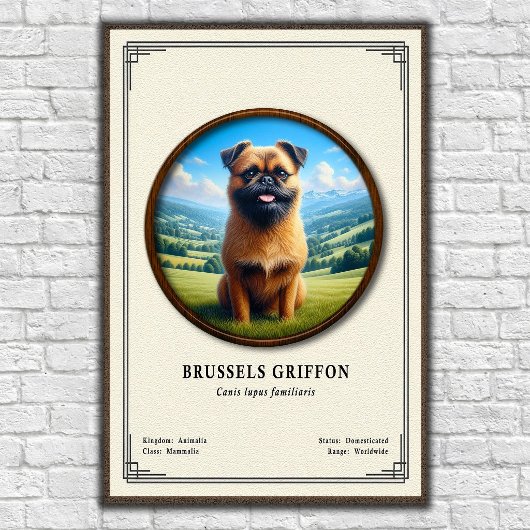 Brusselse Griffon Zoölogie Serie Poster