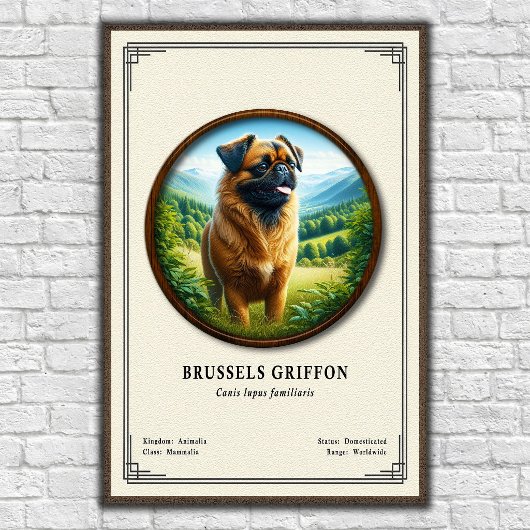 Brusselse Griffon Zoölogie Serie Poster