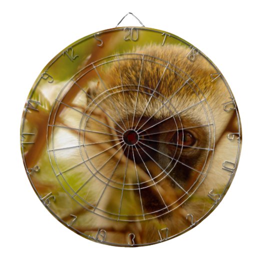Brutaal Aapje. Dartbord (Voorkant)
