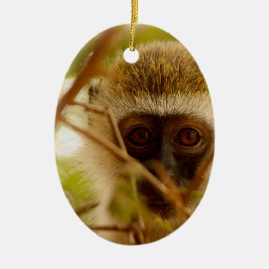 Brutaal Aapje. Keramisch Ornament (Voorkant)