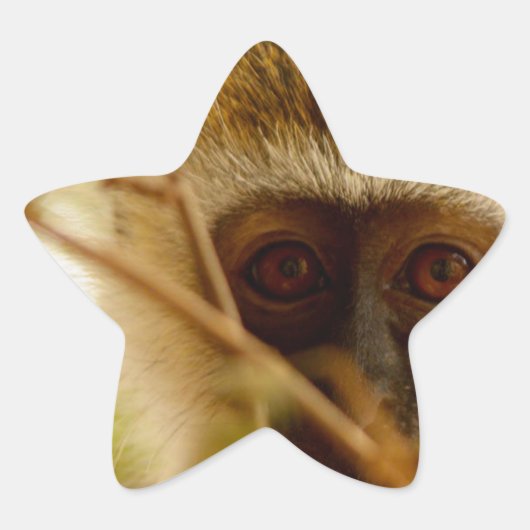 Brutaal Aapje. Ster Sticker (Voorkant)
