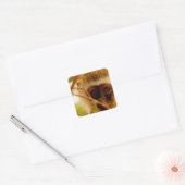 Brutaal Aapje. Vierkante Sticker (Envelop)