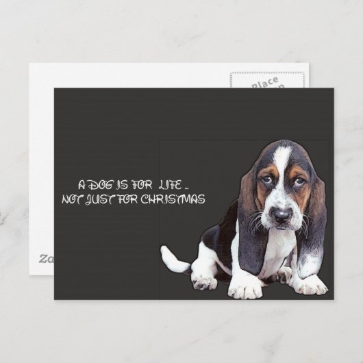 brutaal briefkaart (Voorkant / Achterkant)