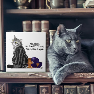 Brutaal Geen Spijt Tabby Kat Grappig Tegeltje