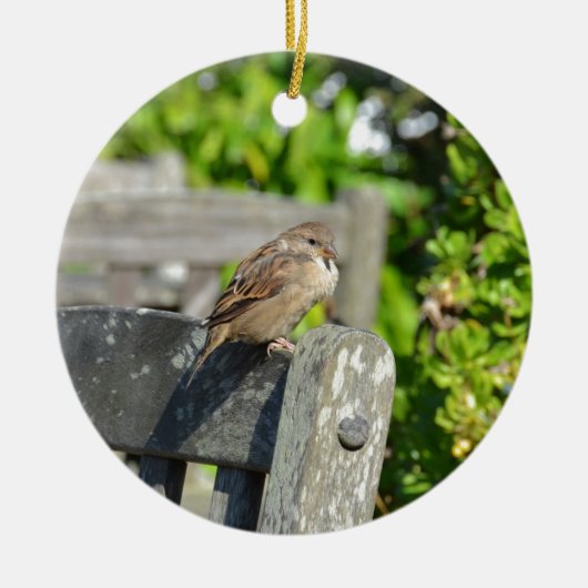 Brutaal Mus Keramisch Ornament (Voorkant)