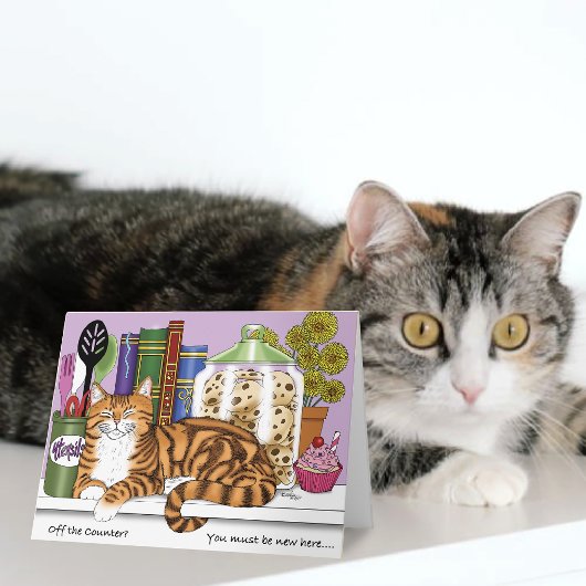 Brutaal Oranje Tabby Keukenblad Kat Grappig Kaart