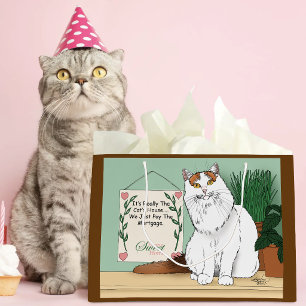 Brutaal Witte Oranje Zoete Kat Kattig Thuis Humor Groot Cadeauzakje